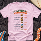 Hawaiian Weather Station T-Shirt — Funny Coconut Island Tee