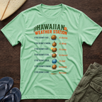 Hawaiian Weather Station T-Shirt — Funny Coconut Island Tee