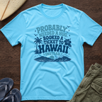 Probably needed a hug T-Shirt