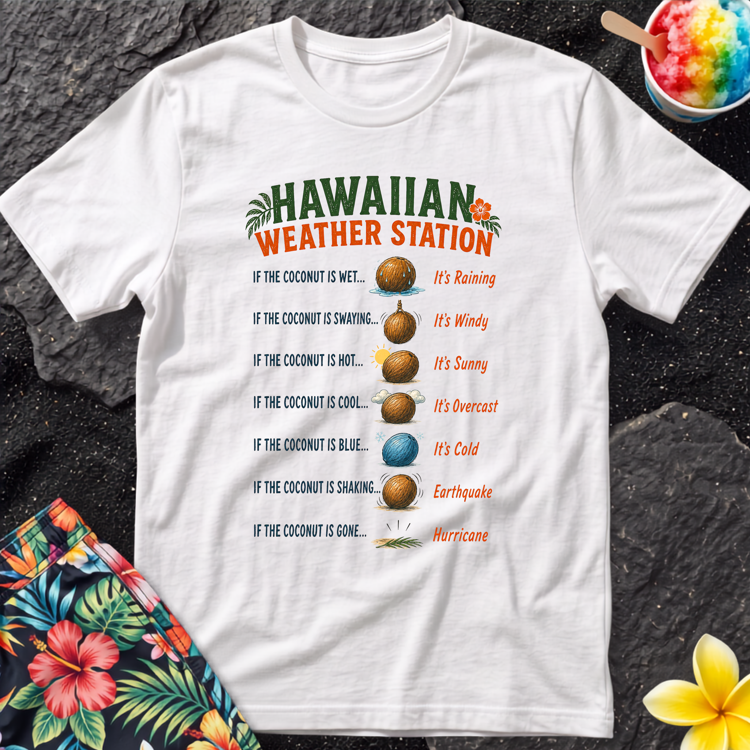Hawaiian Weather Station T-Shirt — Funny Coconut Island Tee